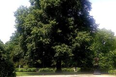 DeSeversky Masnion Driveway