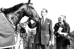 Williamand Ann Woodward Horse